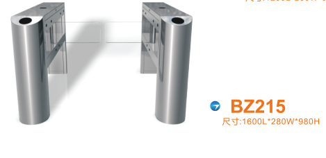 绵阳仙海区摆闸BZ215